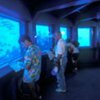 Подводная обсерватория в Эйлате