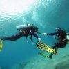Дайвинг клуб Coral Sea Divers (Эйлат)