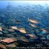 Дайвинг клуб Coral Sea Divers (Эйлат)