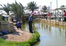 Парк для рыбалки и отдыха в Мааян Цви